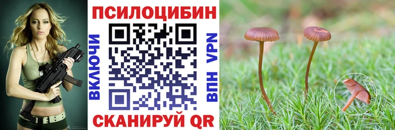 omg ссылка  дарк нет клад  Псилоцибиновые грибы Psilocybine cubensis  Тара 